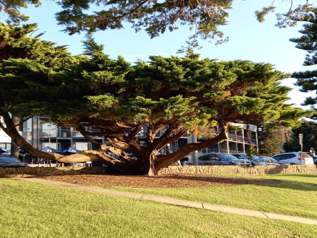 קאווס Apartments In Phillip Island Towers - Block C מראה חיצוני תמונה